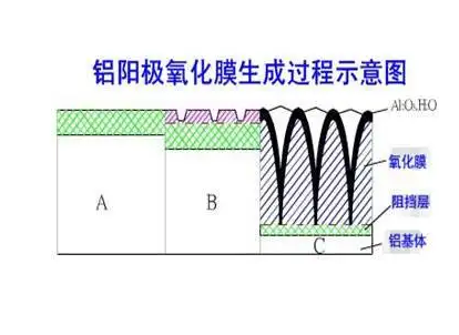 鋁型材硬質(zhì)陽(yáng)極氧化膜生成過(guò)程